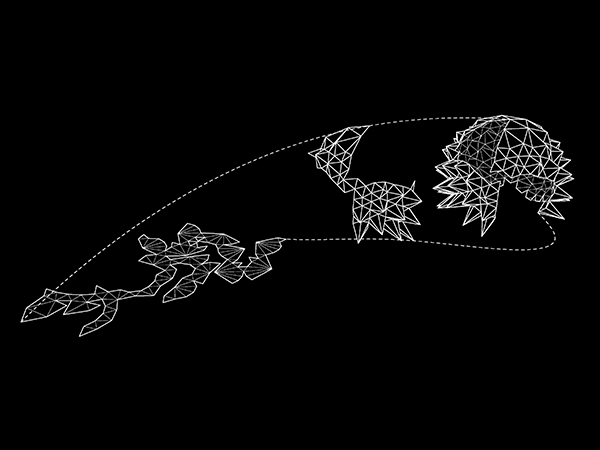 Unfolding 04